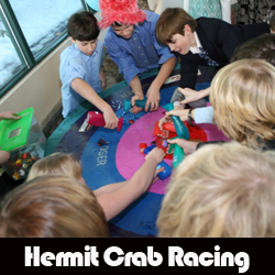Hermit Crab Racing