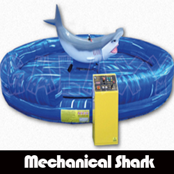 Mechanical Shark