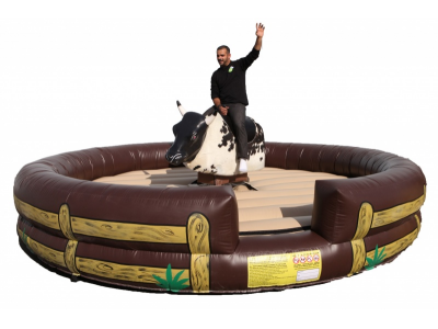 Mechanical Bull