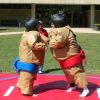 Sumo Suits